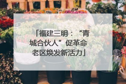 福建三明：“青城合伙人”促革命老区焕发新活力