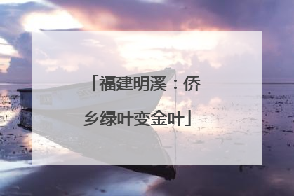福建明溪：侨乡绿叶变金叶