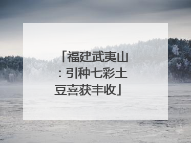 福建武夷山：引种七彩土豆喜获丰收