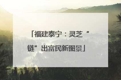 福建泰宁：灵芝“链”出富民新图景