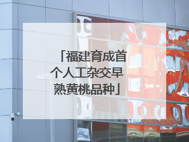 福建育成首个人工杂交早熟黄桃品种