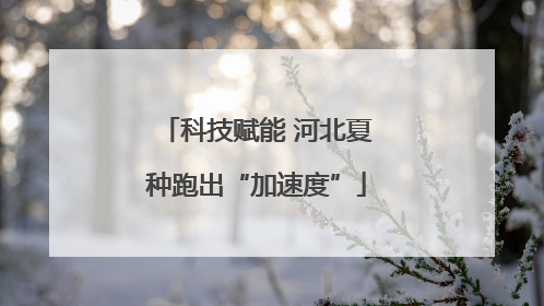 科技赋能 河北夏种跑出“加速度”