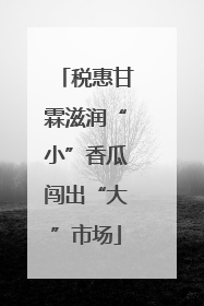 税惠甘霖滋润“小”香瓜闯出“大”市场