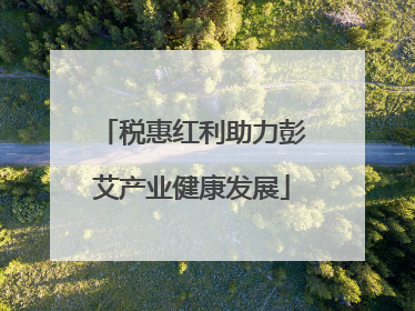 税惠红利助力彭艾产业健康发展