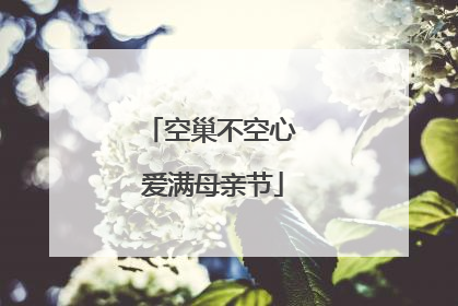 空巢不空心 爱满母亲节