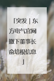 突发｜东方电气官网撤下董事长俞培根信息