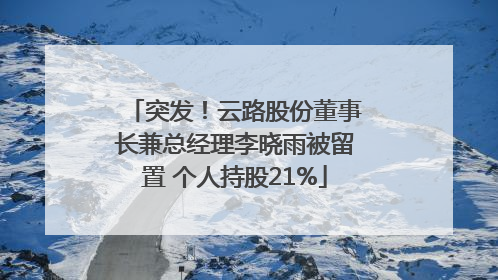 突发！云路股份董事长兼总经理李晓雨被留置 个人持股21%