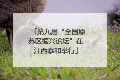 第九届“全国原苏区振兴论坛”在江西泰和举行