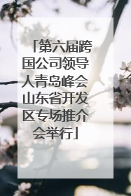 第六届跨国公司领导人青岛峰会山东省开发区专场推介会举行