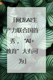 网龙AI生产力联合国首秀，“AI+教育”大有可为