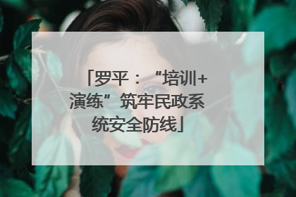 罗平：“培训+演练”筑牢民政系统安全防线