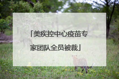 美疾控中心疫苗专家团队全员被裁