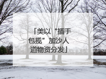 美以“插手包揽”加沙人道物资分发