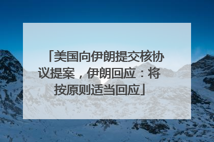 美国向伊朗提交核协议提案，伊朗回应：将按原则适当回应