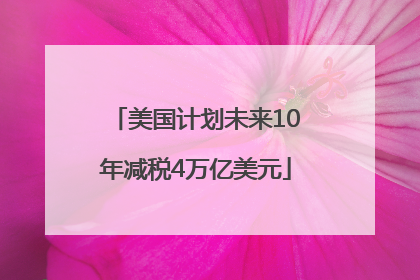美国计划未来10年减税4万亿美元
