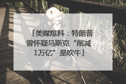 美媒爆料：特朗普曾怀疑马斯克“削减1万亿”是吹牛