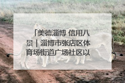 美德淄博 信用八景｜淄博市张店区体育场街道广场社区以诚信串起幸福脉络
