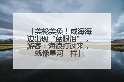 美轮美奂！威海海边出现“蓝眼泪”，游客：海浪打过来，就像星河一样