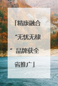 精康融合“无忧无棣”品牌获全省推广