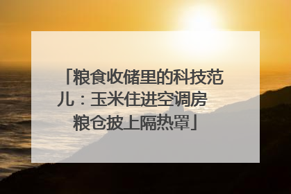 粮食收储里的科技范儿：玉米住进空调房 粮仓披上隔热罩