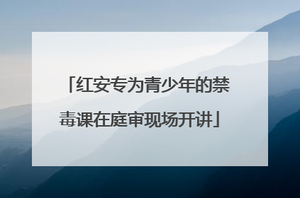 红安专为青少年的禁毒课在庭审现场开讲