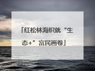 红松林海织就“生态+”富民画卷