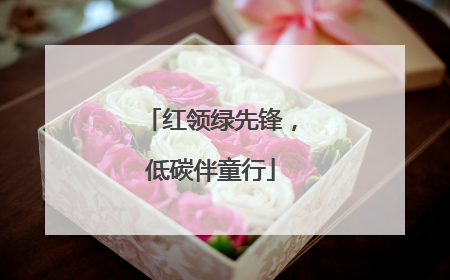 红领绿先锋，低碳伴童行
