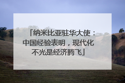 纳米比亚驻华大使：中国经验表明，现代化不光是经济腾飞