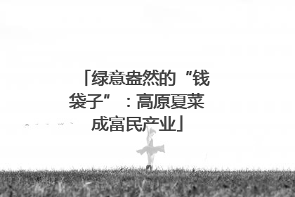 绿意盎然的“钱袋子”：高原夏菜成富民产业