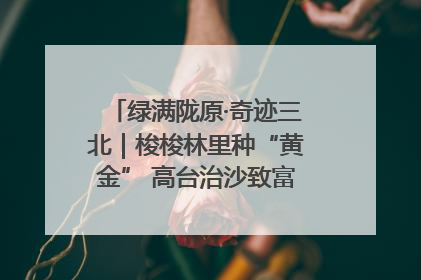 绿满陇原·奇迹三北｜梭梭林里种“黄金” 高台治沙致富很“从容”