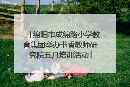 绵阳市成绵路小学教育集团举办书香教师研究院五月培训活动