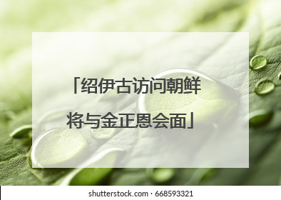 绍伊古访问朝鲜 将与金正恩会面