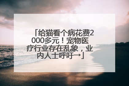 给猫看个病花费2000多元！宠物医疗行业存在乱象，业内人士呼吁→