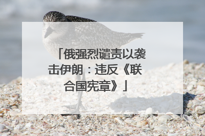 俄强烈谴责以袭击伊朗：违反《联合国宪章》