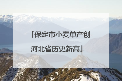 保定市小麦单产创河北省历史新高