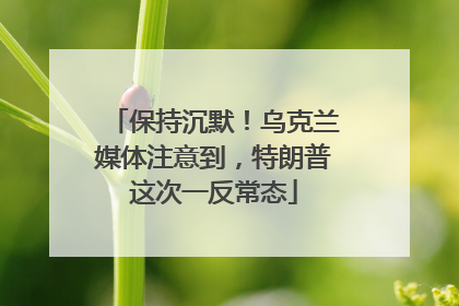 保持沉默！乌克兰媒体注意到，特朗普这次一反常态
