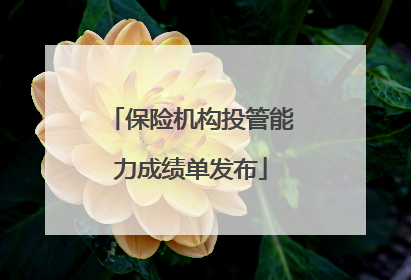 保险机构投管能力成绩单发布