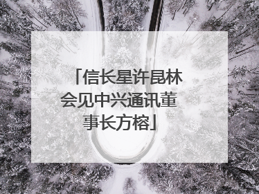 信长星许昆林会见中兴通讯董事长方榕