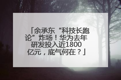 余承东“科技长跑论”炸场！华为去年研发投入近1800亿元，底气何在？