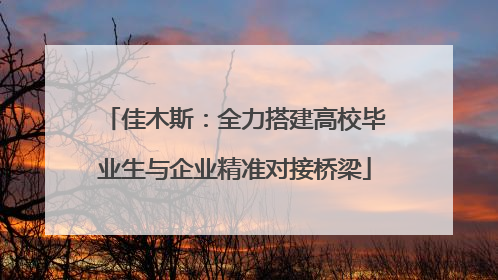 佳木斯：全力搭建高校毕业生与企业精准对接桥梁