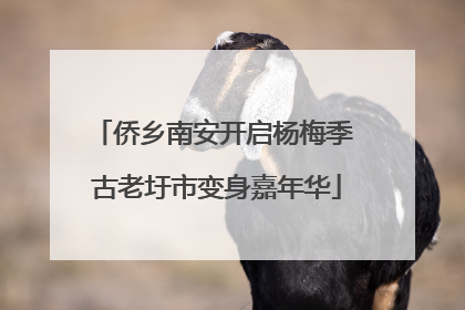 侨乡南安开启杨梅季 古老圩市变身嘉年华