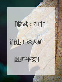 临武：打非治违！深入矿区护平安