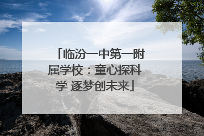 临汾一中第一附属学校：童心探科学 逐梦创未来