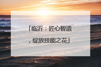 临沂：匠心智造，绽放技能之花