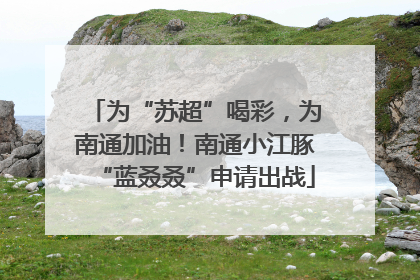 为“苏超”喝彩，为南通加油！南通小江豚“蓝叒叒”申请出战
