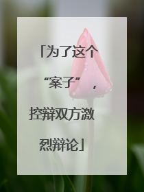 为了这个“案子”，控辩双方激烈辩论