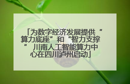 为数字经济发展提供“算力底座”和“智力支撑” 川南人工智能算力中心在四川泸州启动