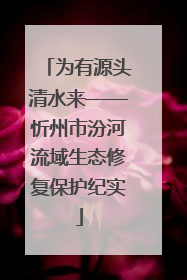 为有源头清水来——忻州市汾河流域生态修复保护纪实