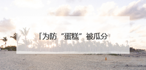 为防“蛋糕”被瓜分 美国罕见主动推销