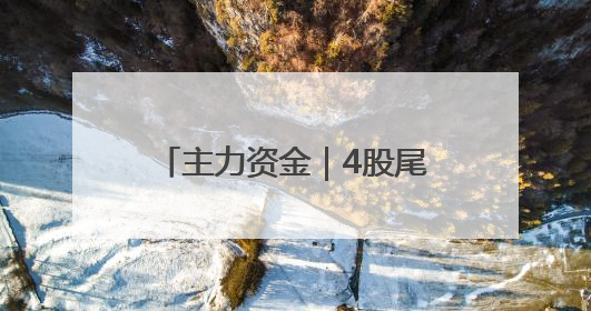 主力资金｜4股尾盘获主力大幅抢筹